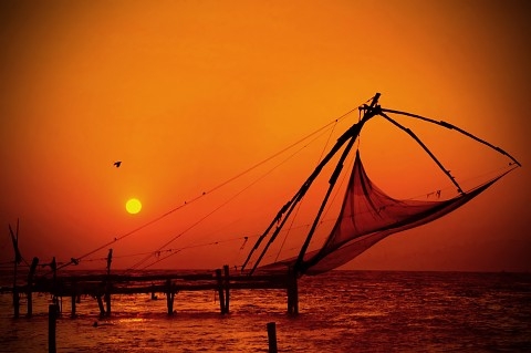 Tour Package - …..BACKWATER TOUR PACKAGE...…