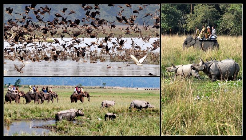 Tour Package - 05 ASSAM - MEGHALAYA PACKAGES 2012 - 2013