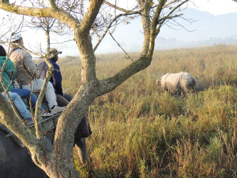 Tour Package - 06 ASSAM - MEGHALAYA PACKAGES 2012 - 2013