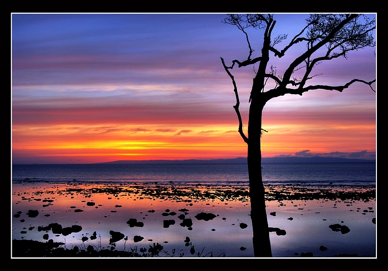 Tour Package - 4 Star Special 3 Night 4 Days Package
