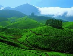 Tour Package - THE REAL KERALA TOUR