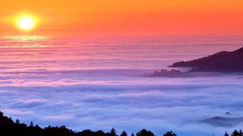 Tour Package - Karnataka & Kerala Tour Package ( Hill Station - Wayand with Coorg)