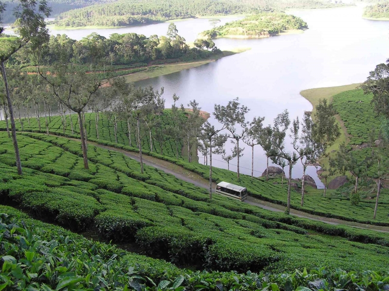 Tour Package - Kerala Tour Package - Hill station & Backwater Holidays for 05 Nights