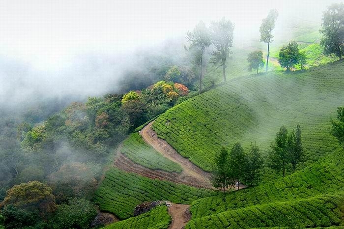 KERALA - Nature's Charm KERALA - Nature's Charm