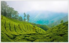 Enchanting Hillstation Escapes Enchanting Hillstation Escapes