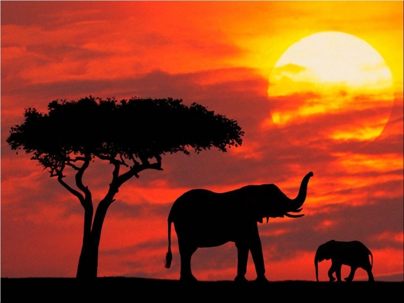 Tour Package - KENYA - 6N TOUR