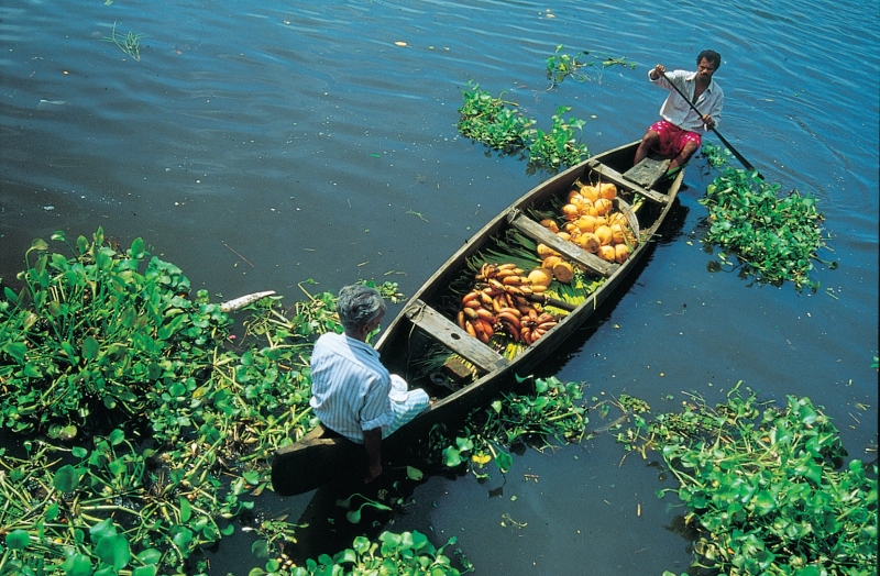 Tour Package - KERALA BACKWATER WITH BEACH TOUR