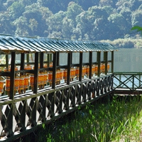Tour Package - HMS–15 (7 Nights / 8 Days) Gangtok 2N - Pelling 2N - Darjeeling 2N - Kalimpong 1N