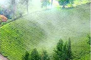 Tour Package - Kerala, The Southern Paradise (All Inclusive, No Hidden Cost)