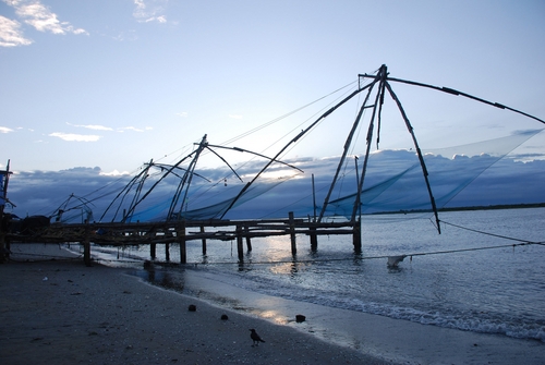 Tour Package - Mini Kerala