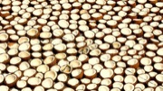 5 Souvenirs To Carry Back From Kerala