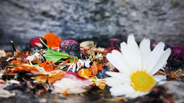 Maha Shivaratri Maha Shivaratri