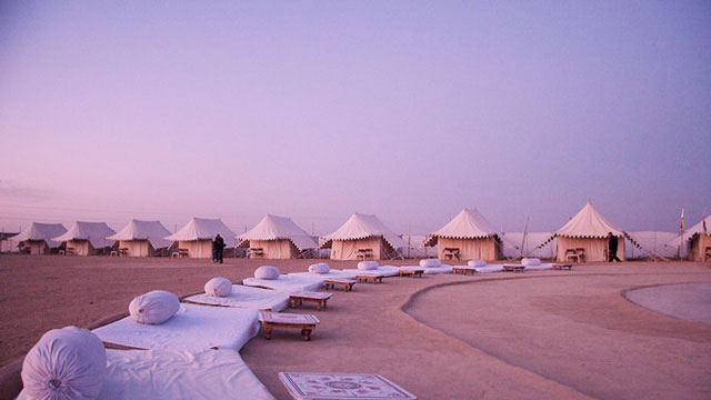 Desert Festival Desert Festival