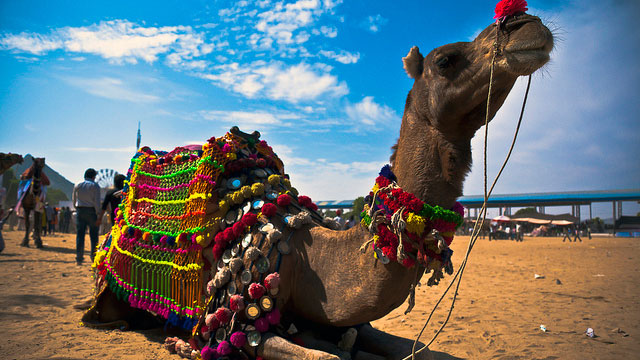 Pushkar Mela Pushkar Mela