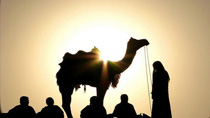 Rajasthan Tourism