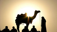 Rajasthan Tourism