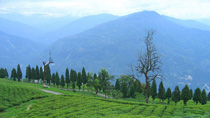 Sikkim Tourism