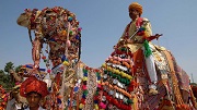 Pushkar Camel Fair