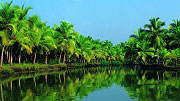 Kerala Backwaters