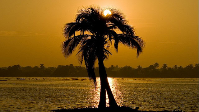 #1. Sail down the Alleppey Backwaters at Sunset #1. Sail down the Alleppey Backwaters at Sunset
