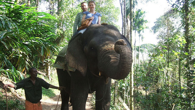 #5. Take an Elephant Ride #5. Take an Elephant Ride