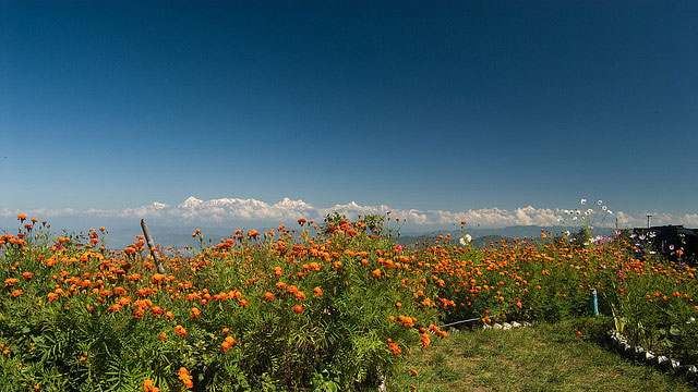 Top 5 Hill-station Destinations in India Top 5 Hill-station Destinations in India