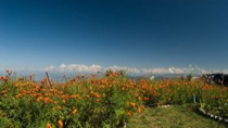 Top 5 Hill Stations of India Top 5 Hill Stations of India