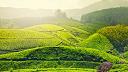 Kerala Tour Packages