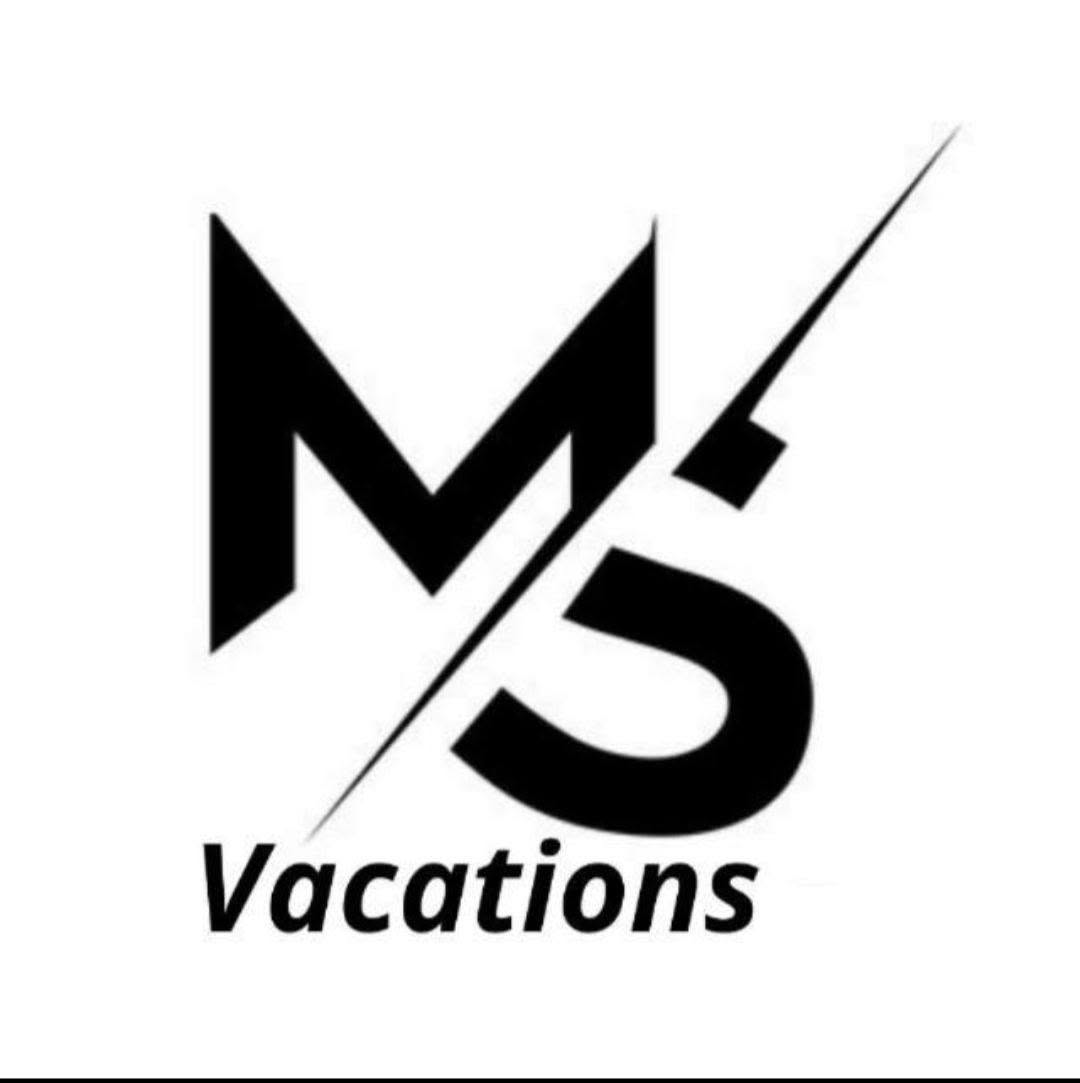 Travel Agent - Mindsoul Vacations Private Limited