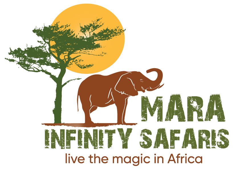 Mara Infinity Safaris Ltd