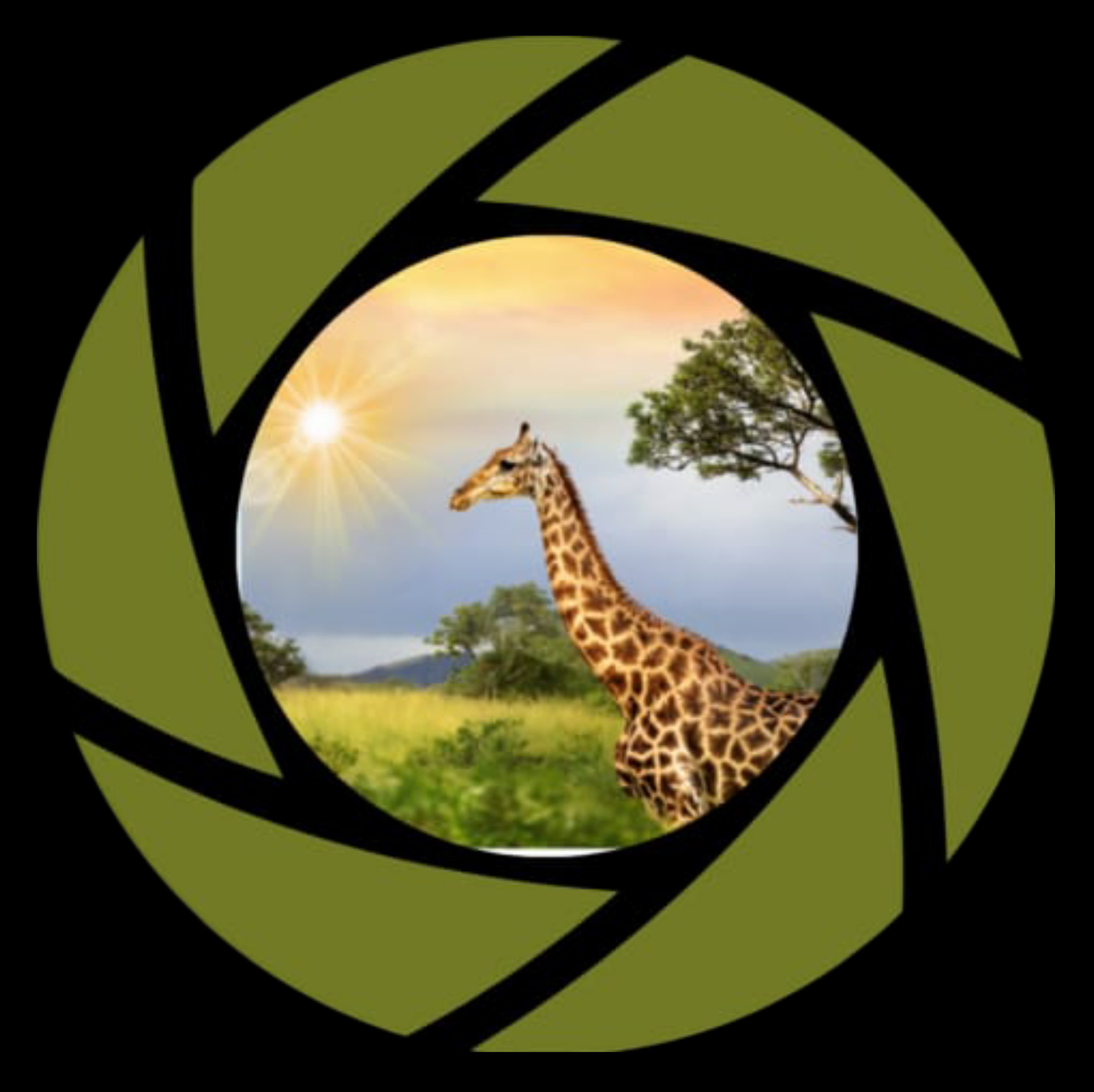 Gedla Tours And Travel