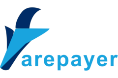 Farepayer Pvt Ltd