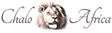 Chalo Africa