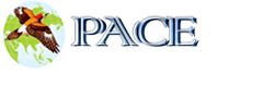 Pace Holiday Solutions Pvt Ltd