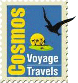Cosmos Voyage Travels