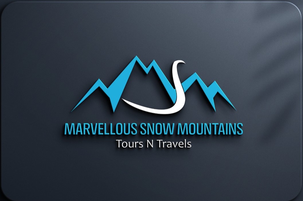 M S M Tours & Travels