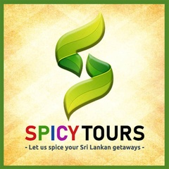 Spicy Tours