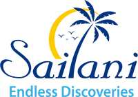Sailani Tours N Travel Pvt Ltd