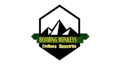 Roaming Monkeys India Private Ltd