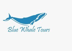 Blue Whale Tours (A Unit Of ITCHA Group)