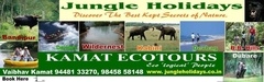Kamat Ecotours & Jungle Holidays
