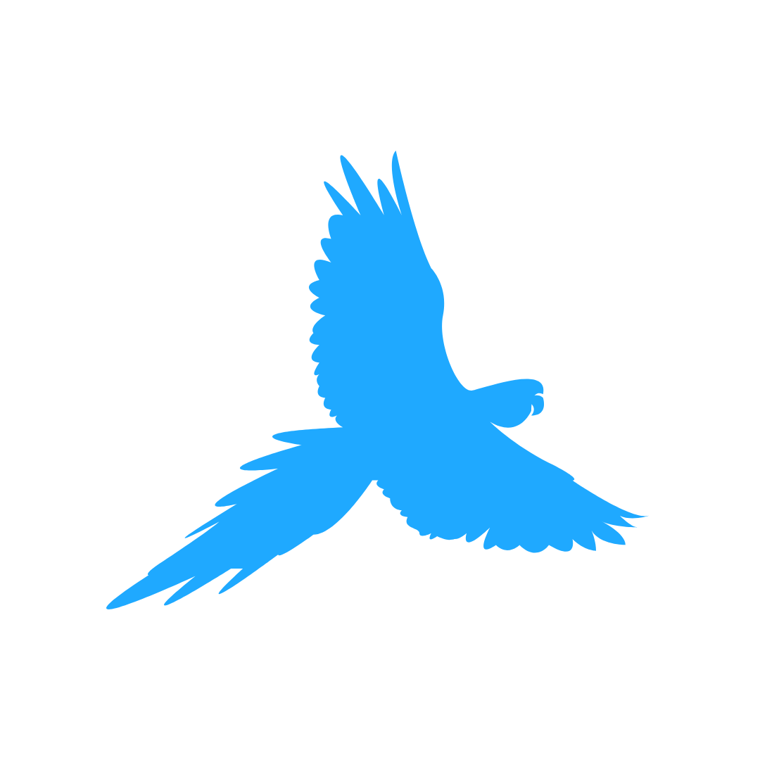 Travel Agent - Blue Transport And Hospitality Services