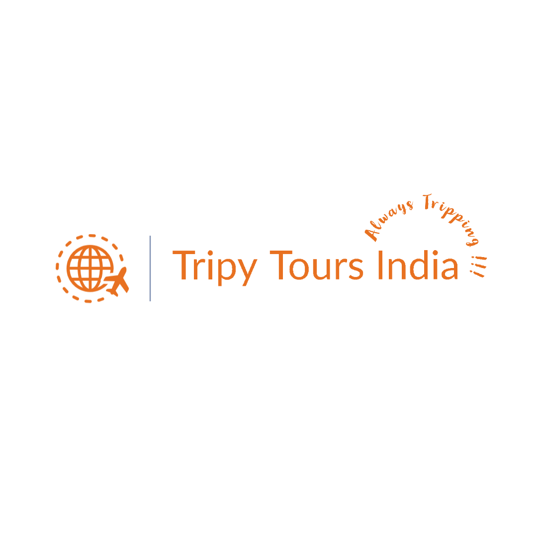 Tripy Tours India