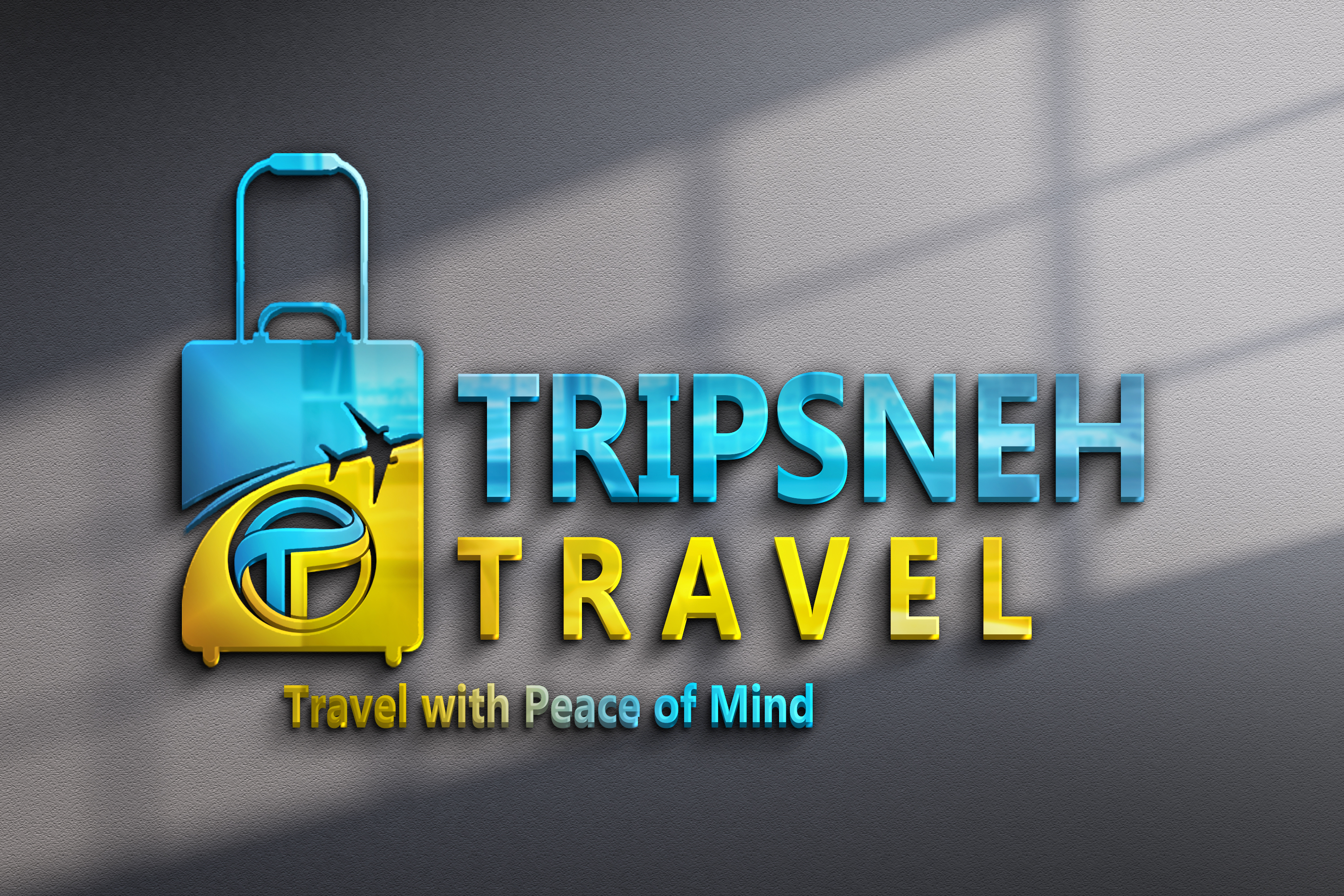 Tripsneh Travel Services