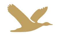 Adhvan Experiences Llp