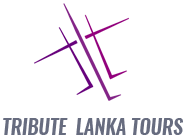 Tribute Lanka Tours