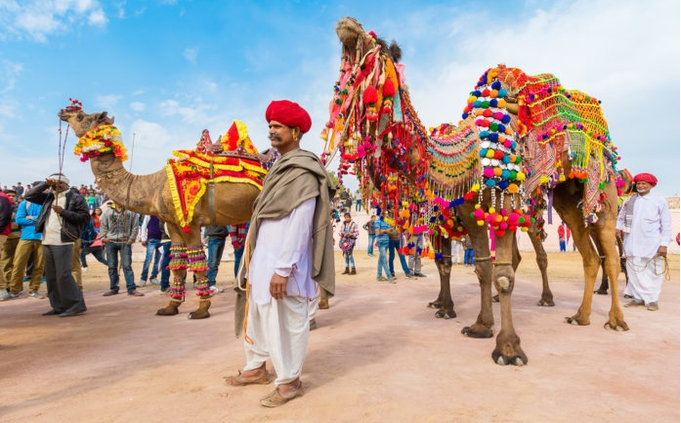 Rajasthan Visit Tours