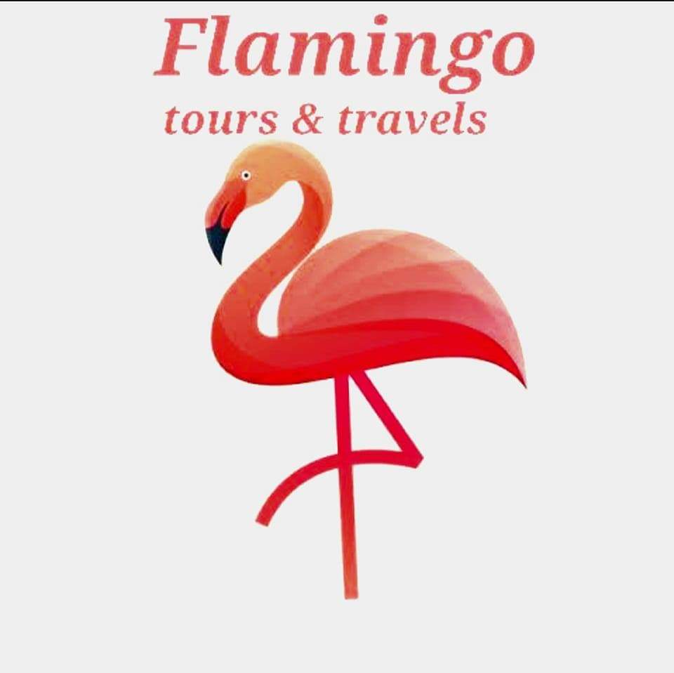 Flamingo Tours And Travels