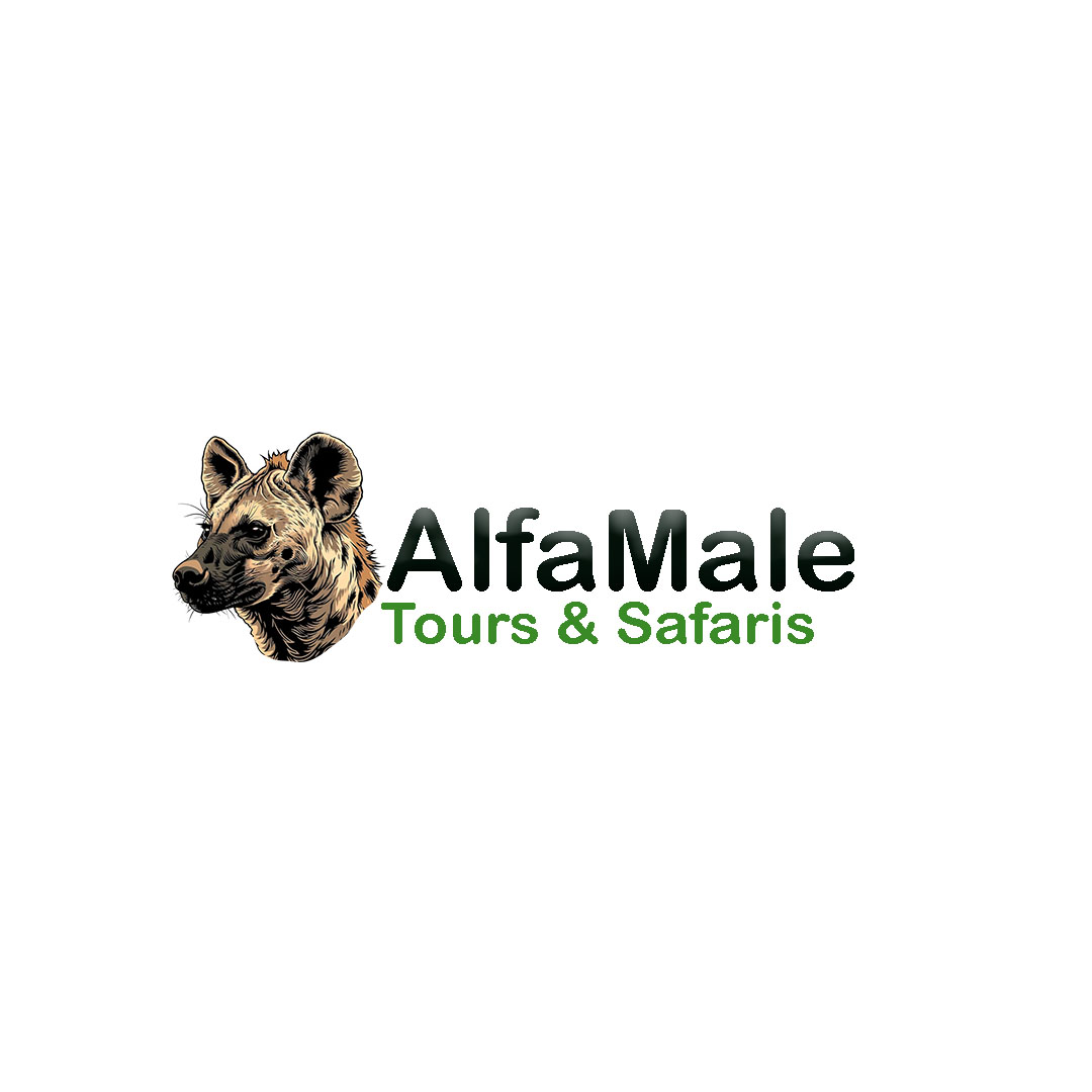 Alfamale tours 