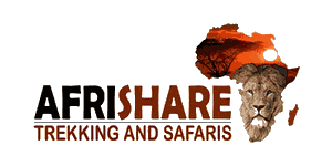 Afrishare Trekking And Safaris